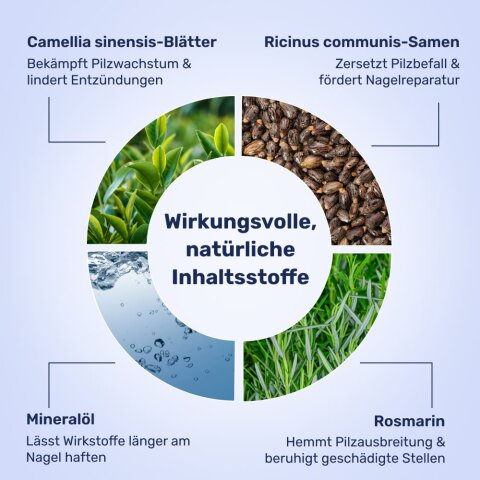 WellaNail image